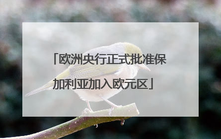 欧洲央行正式批准保加利亚加入欧元区